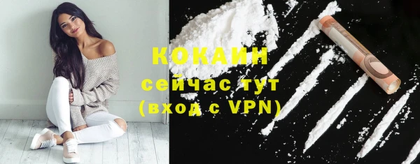 твердый Магадан