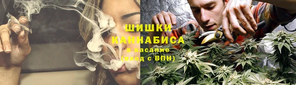 мдпв Магас