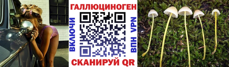 Галлюциногенные грибы Magic Shrooms  MEGA как войти  Волгодонск  купить наркотики цена 