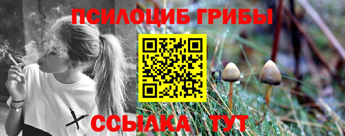 Галлюциногенные грибы Psilocybine cubensis Волгодонск